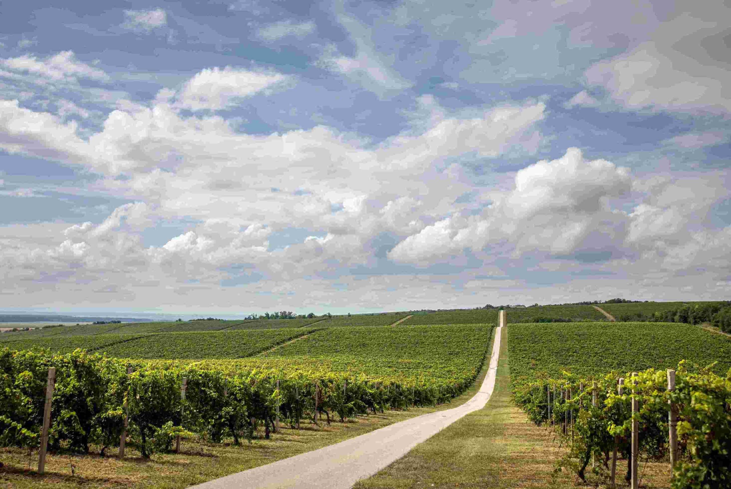 Settembre in Croazia tra vigneti, strade del vino, vendemmia e tradizioni locali